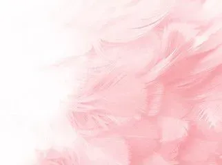OnlyFans cuenta janerocci header 2