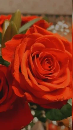 OnlyFans cuenta u195855891 header 2
