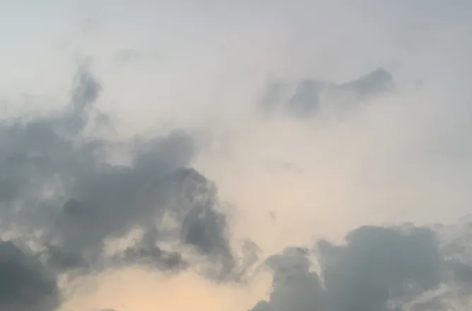 OnlyFans account  dangoforme header 2
