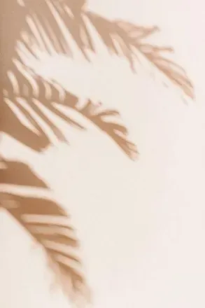 OnlyFans cuenta vonroe header 2