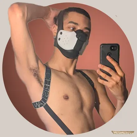 OnlyFans cuenta magnuspup_free avatar 1