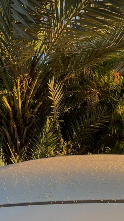 OnlyFans cuenta lunadreaminess header 2
