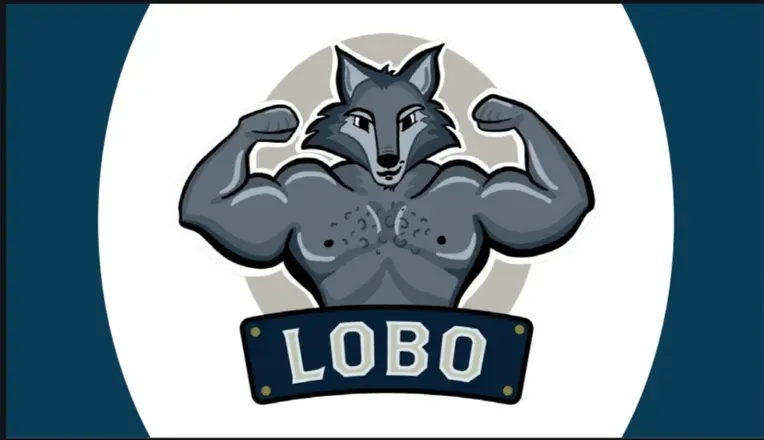 OnlyFans cuenta daddylobovanfree header 2
