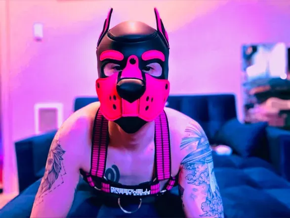 OnlyFans cuenta pocketsubpup avatar 1