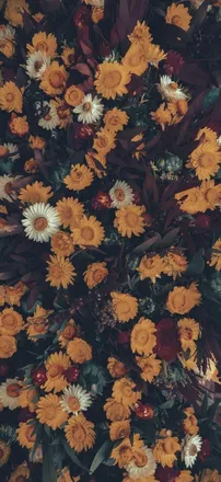 OnlyFans cuenta k_lyynn header 2