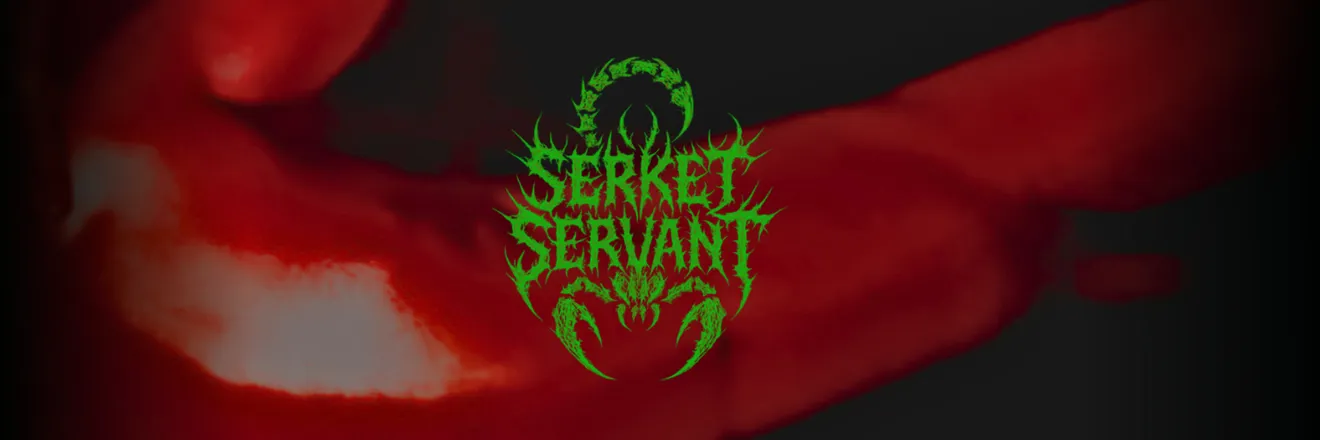 OnlyFans cuenta serketservant header 2