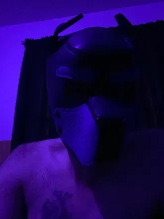 OnlyFans account  pupcapn avatar 1