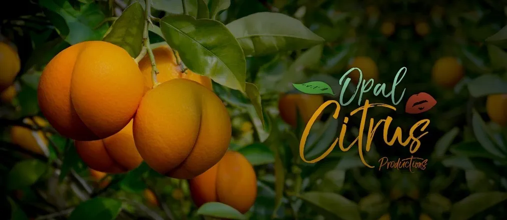 OnlyFans cuenta opal_citrus header 2