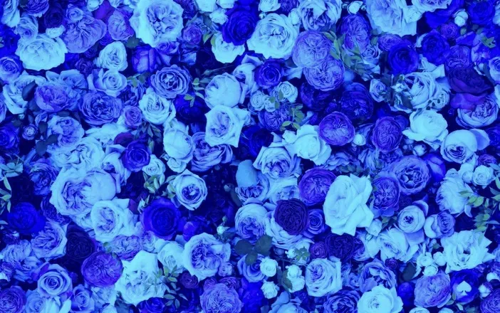 OnlyFans cuenta olivia_rose_oh header 2