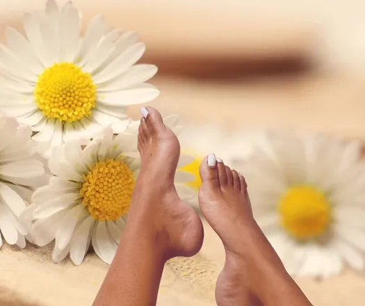 OnlyFans cuenta daisiesfoot header 2