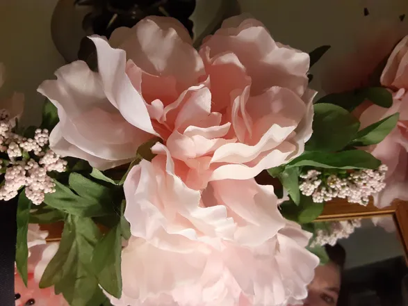 OnlyFans cuenta sweetprincess559 header 2