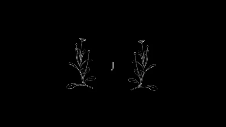OnlyFans cuenta janedelilah header 2