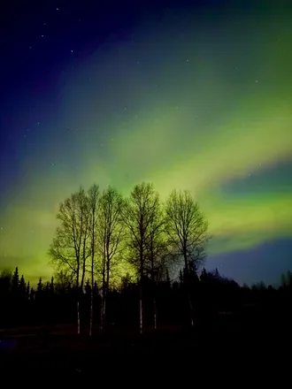 OnlyFans cuenta alaska_wander header 2