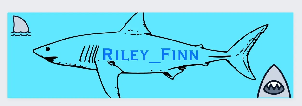 OnlyFans cuenta riley__finn header 2