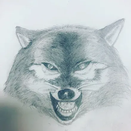 OnlyFans cuenta wolfers2020 header 2