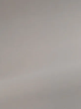 OnlyFans cuenta ppaluzzi header 2