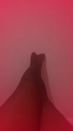 OnlyFans cuenta lunaroja9 header 2