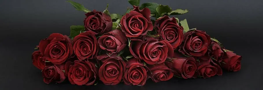 OnlyFans cuenta madamelacroix header 2