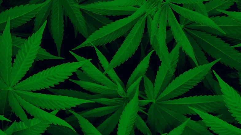 OnlyFans cuenta acid_syrup header 2