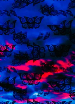 OnlyFans cuenta butterflyloveee header 2