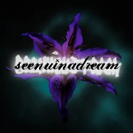 OnlyFans account  seenuinadreamx2 header 2