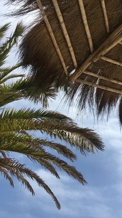 OnlyFans cuenta susventurs header 2