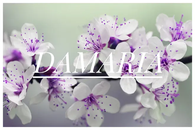 OnlyFans cuenta damariagrace header 2