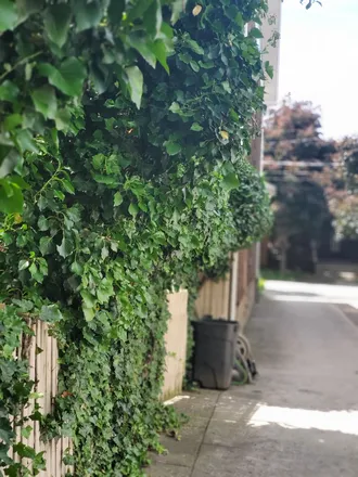 OnlyFans cuenta tudeseomayor header 2