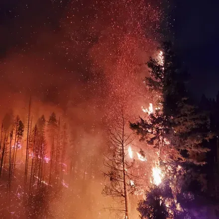 OnlyFans account  wildfireguy header 2