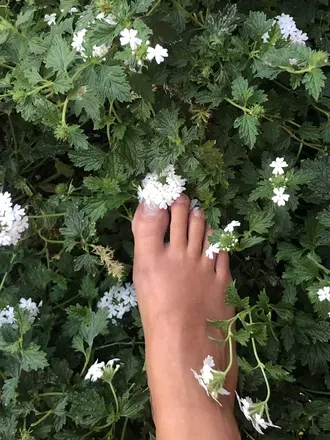 OnlyFans cuenta bootsaremadeforwalking avatar 1