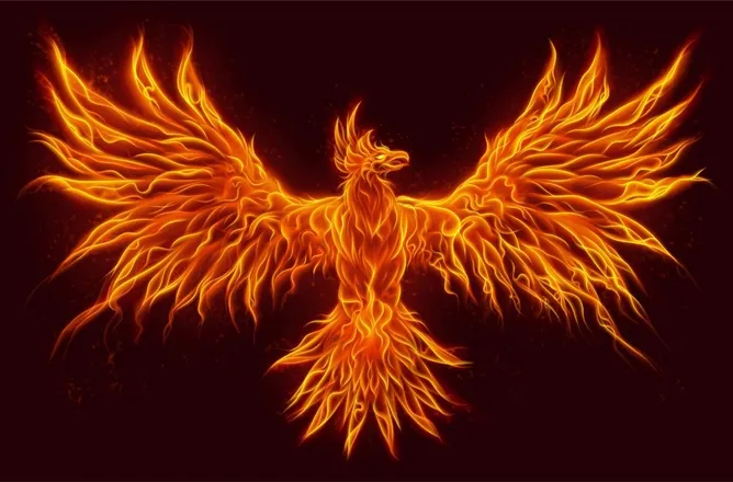 OnlyFans cuenta phoenix5618 header 2