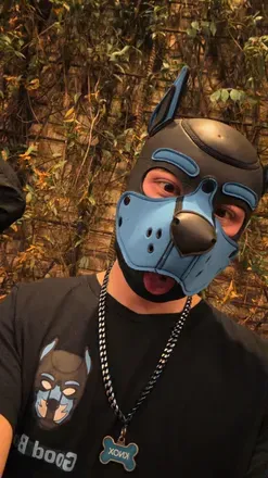 OnlyFans cuenta puppyknox avatar 1