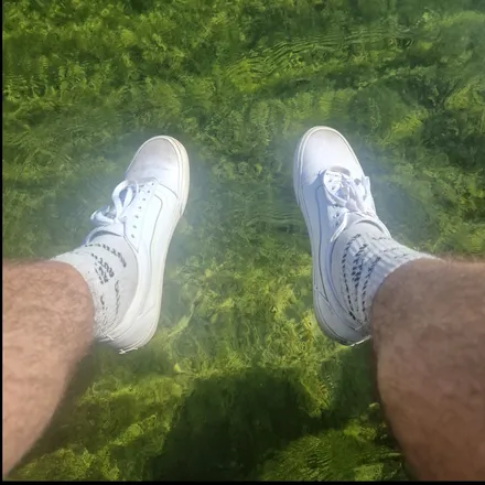 OnlyFans account  theaveragefellow header 2