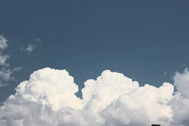 OnlyFans cuenta northernicequeen header 2