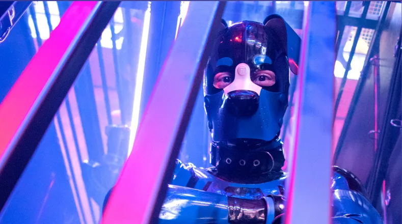 OnlyFans account  rubberhund header 2