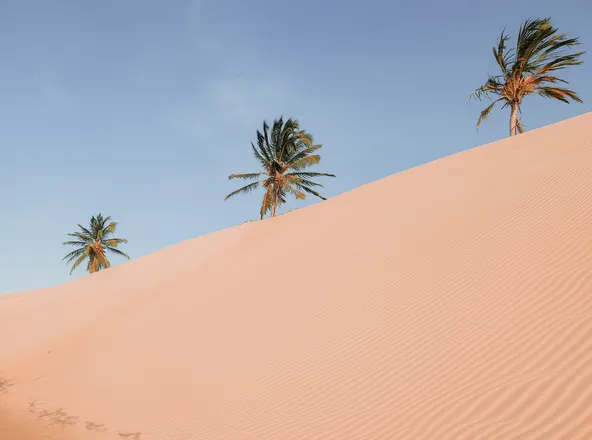 OnlyFans cuenta paradise_ste header 2