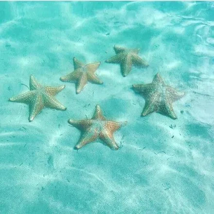 OnlyFans account  lilmermaidxx header 2