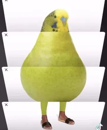 OnlyFans cuenta thiccbirb avatar 1