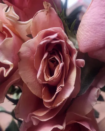 OnlyFans cuenta showtimevalentine header 2
