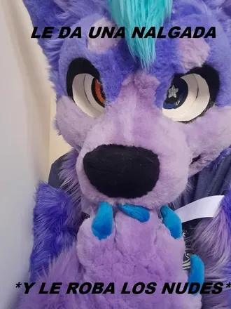 OnlyFans cuenta purpydahusky avatar 1