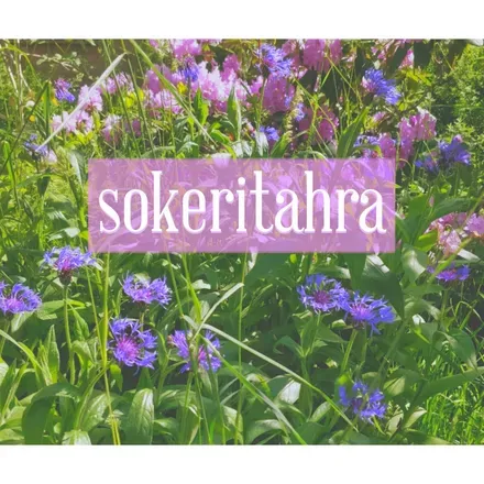 OnlyFans cuenta sokeritahra header 2