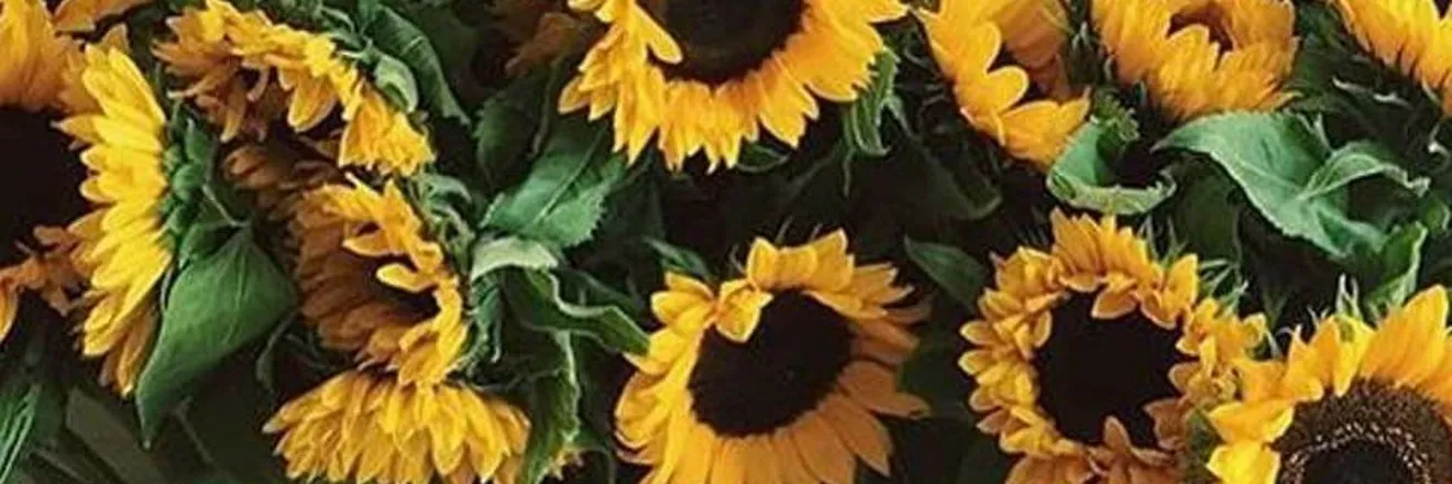 OnlyFans cuenta lulu2326 header 2