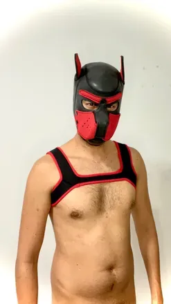 OnlyFans cuenta frank18sp avatar 1