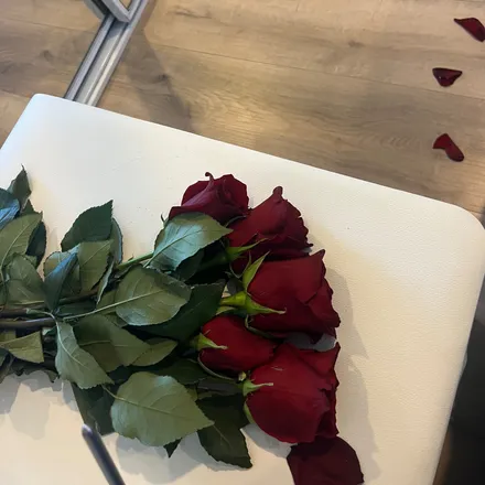 OnlyFans account  chloeashtinfree header 2