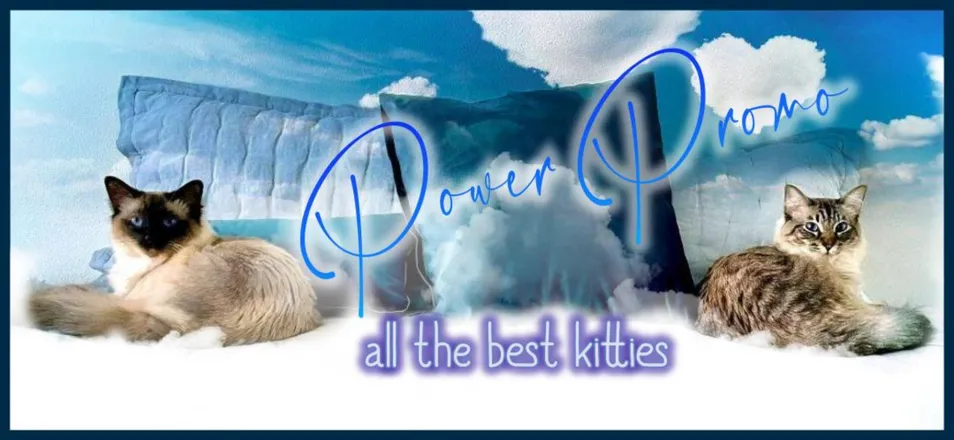 OnlyFans cuenta powerpromo2025 header 2