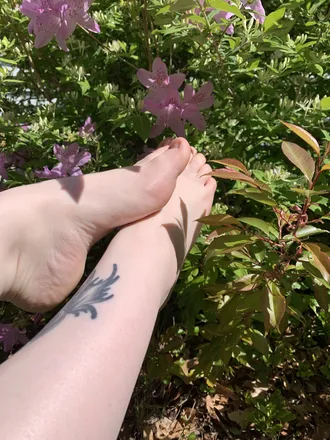 OnlyFans cuenta akiaeliserose header 2