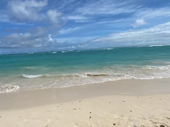 OnlyFans cuenta seasidedaddy header 2