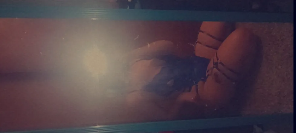 OnlyFans cuenta u273104466 header 2