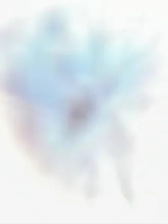 2025-07-21 photo 1