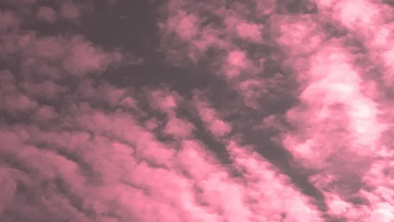 OnlyFans cuenta mauvebuni header 1
